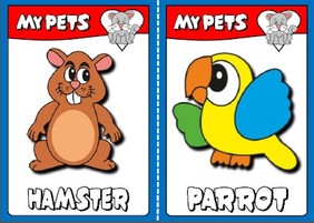 pets - flashcards
