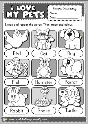pets - picture dictionary