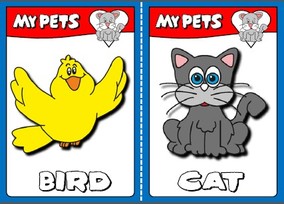pets - flashcards