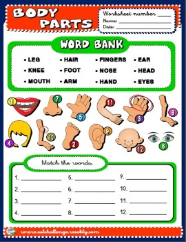 Body worksheet