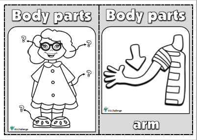 Body parts - flashcard