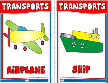 Transport Flashcards