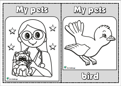 Pets - flashcards