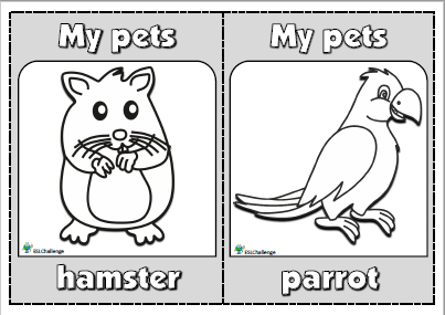 Pets - flashcards
