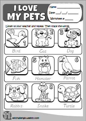 My pets - picture dictionary