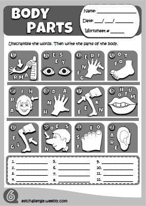 Body parts - worksheet 3
