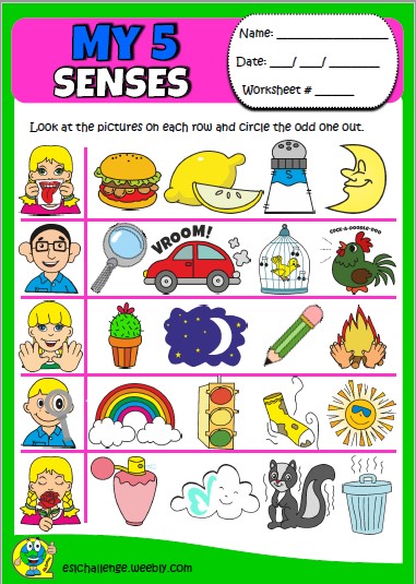 5 senses set - eslchallenge